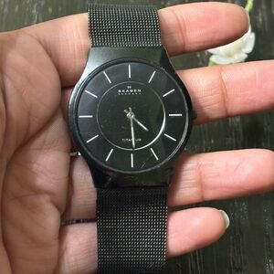 Skagen Titanium Watch